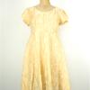 Antique Yellow Dress